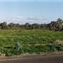 Bourke & Environs