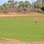 Bourke & Environs