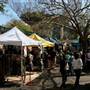Paddington Markets