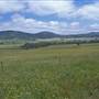 Braidwood surrounds