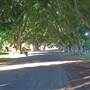 Briemba St, Grafton