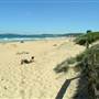 Narrabeen