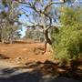 Silverton Road
