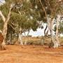 BROKEN HILL - Town & Surrounds