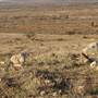 Broken Hill Area