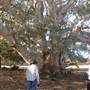 Broken Hill Area