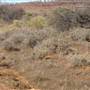 Broken Hill Area