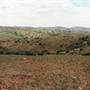 Broken Hill Area (Inc. Silverton)