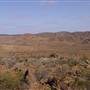 Broken Hill Living Desert