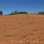 Broken Hill Sand Dunes