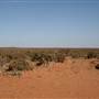 Broken Hill Surrounds