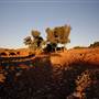 BROKEN HILL, OUTCROPS & SURROUNDS 2012