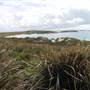 Broughton Island