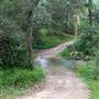 Byrill Creek