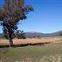 Cabonne County