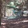 Canobolas State Forest / Recreation Area