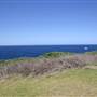 Cape Banks