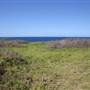 Cape Banks