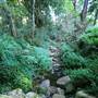 Canyon Park