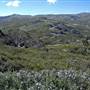 Charlotte Pass