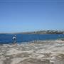 Clovelly Bay