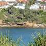 Clovelly Bay