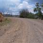 Coolah surrounds