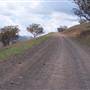Coolah Tops National Park