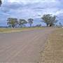 Coolah Tops National Park