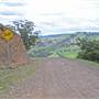 Coolah Tops National Park