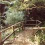 Cooper Park