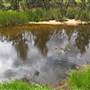 Cox's River at Duddawarra Bridge