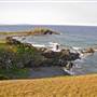 Crescent Head