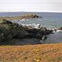 Crescent Head