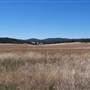 Crops/Farms - Central West