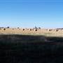 Crops/Farms - Central West