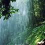 Crystal Shower Falls - Dorrigo National Park