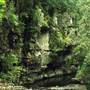 Crystal Shower Falls - Dorrigo National Park