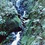 Crystal Shower Falls - Dorrigo National Park