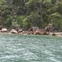 Currawong Beach Cottages