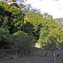 Shoalhaven Zoo