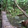 Falls Forest Retreat