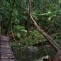 Falls Forest Retreat