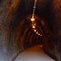 Fernleigh Track tunnel