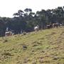 Morton National Park
