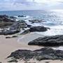 Forster and surrounds