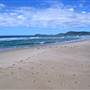 Forster and surrounds