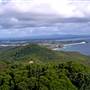 Forster and surrounds