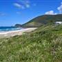 Forster and surrounds
