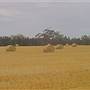 Gilgandra Rural Area